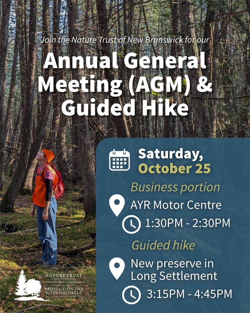 2025-10-25_NTNB_AGM_poster