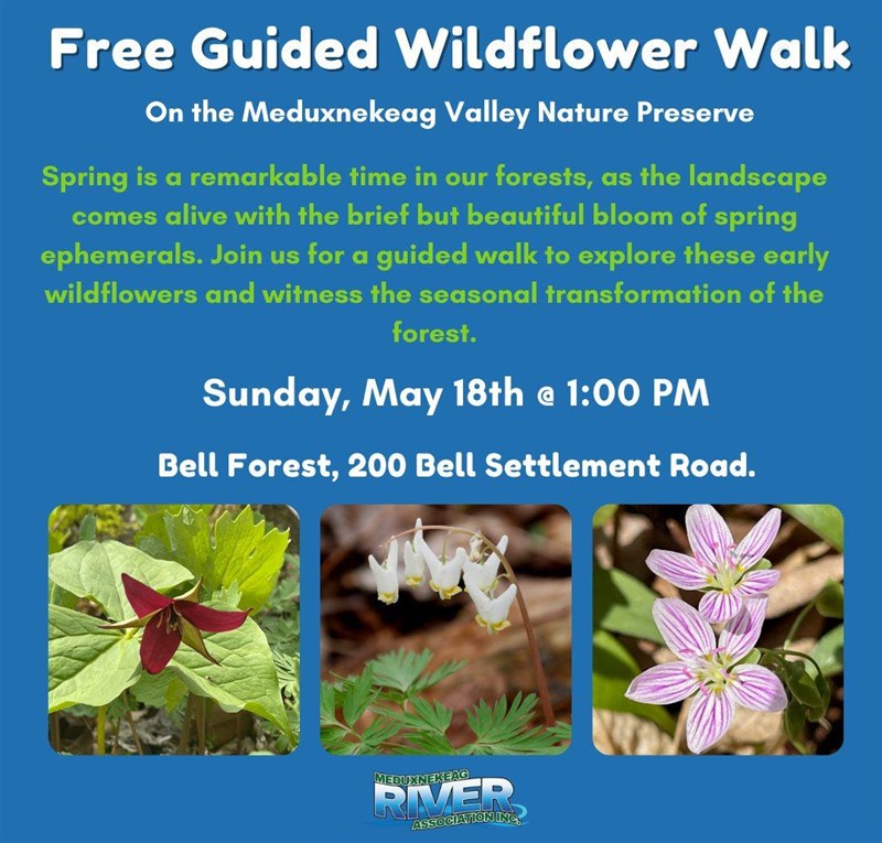 2025-05-18_Wildflower_Walk_MRA
