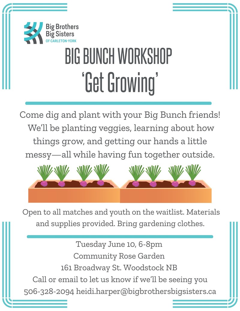 2025-06-10_BBBSCY_Get_Growing