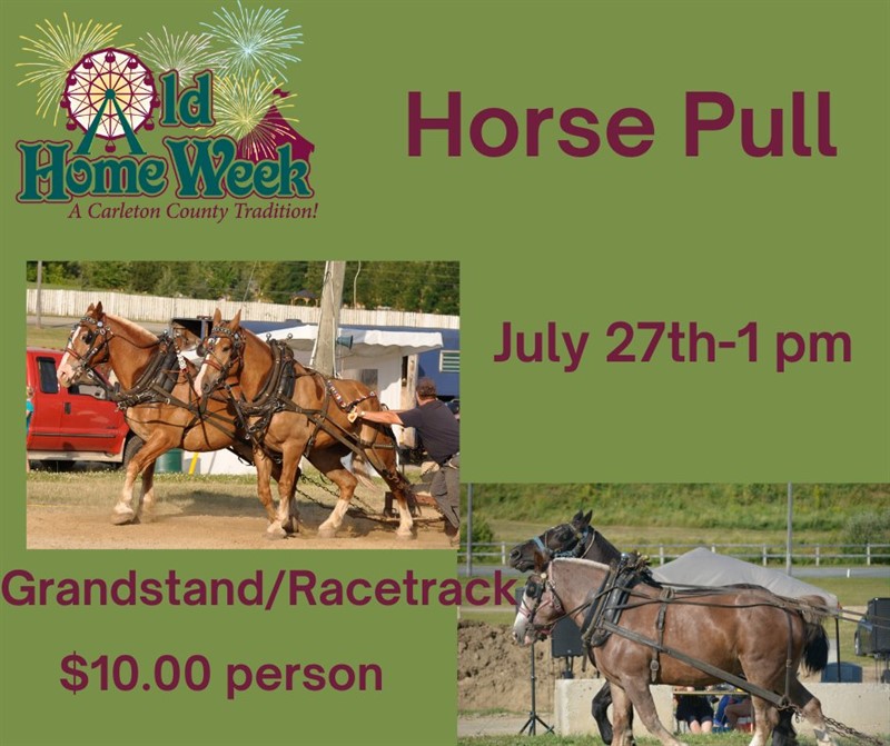 2025-07-27_Horse_Pull