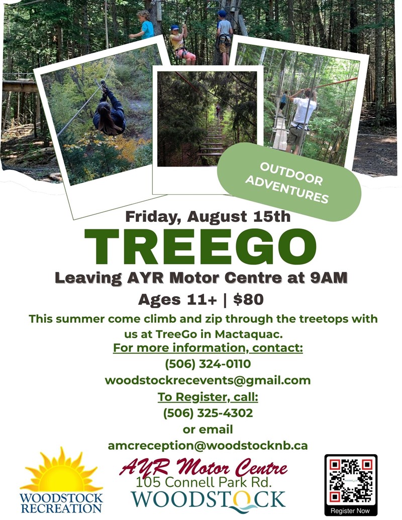 2025-08-15_Tree_Go