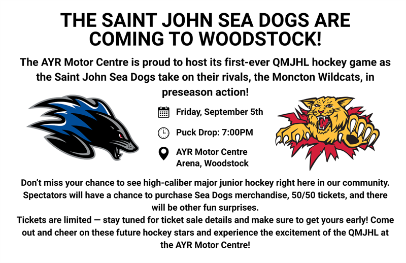 2025-09-05_Seadogs_Game