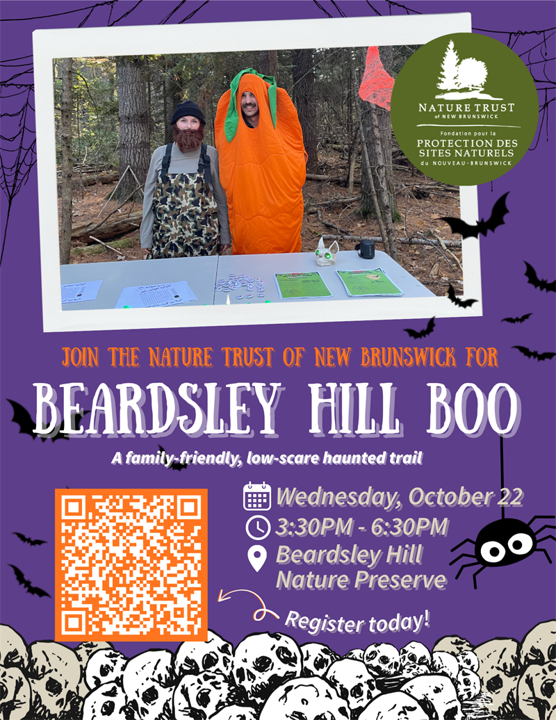 2025-10-22__Beardsley_Hill_Boo_posters_(1)