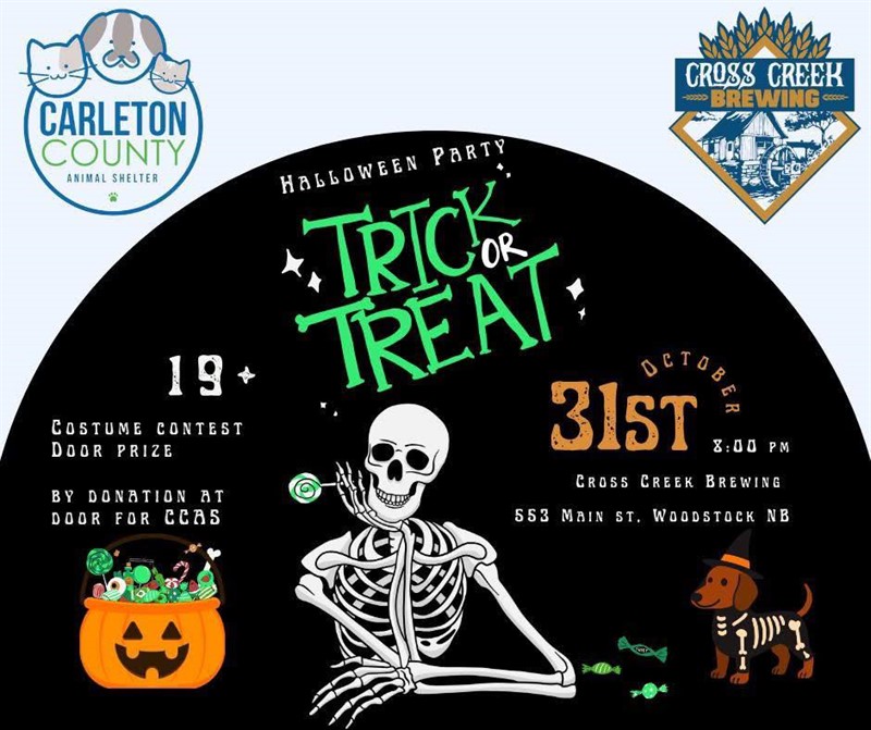 2025-10-31_Halloween_Party_Cross_Creek