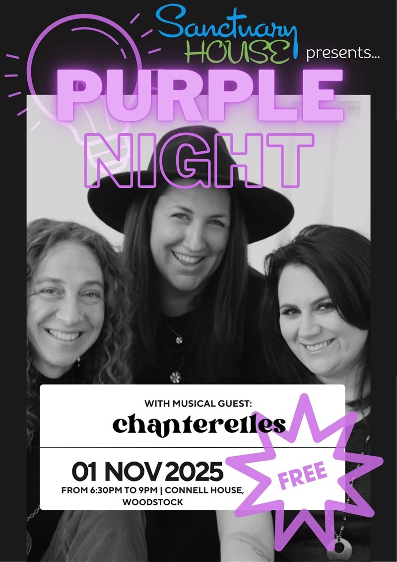 2025-11-01_Purple_Lights_Night