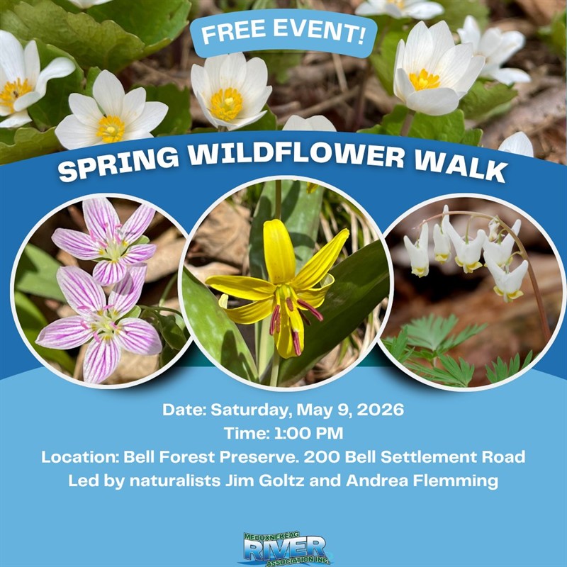 2026-05-09_Wildflower_Walk_MRA