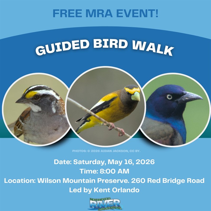 2026-05-16_Bird_Walk