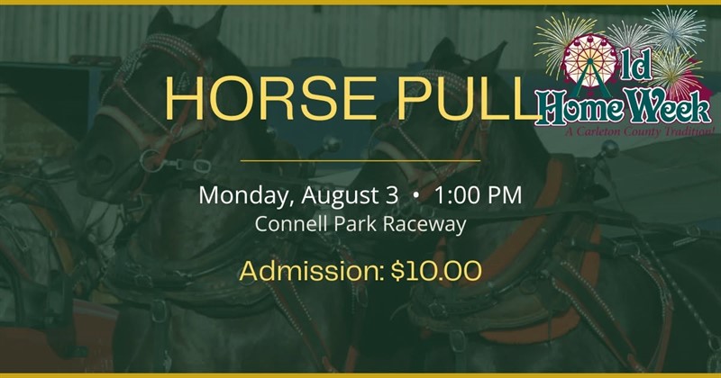 2026-08-03_OHW_Horse_Pull