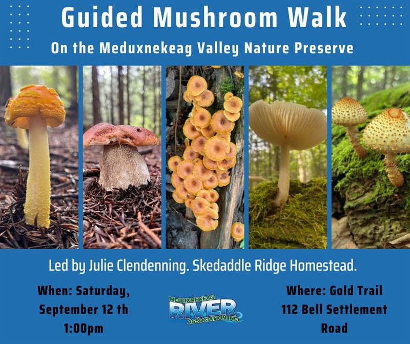 2026-09-12_Mushroom_Walk