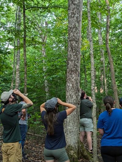 Birding_Walk_at_Beardsley_Hill_Promo