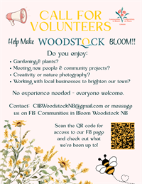 CiB_Call_for_Volunteers_2026