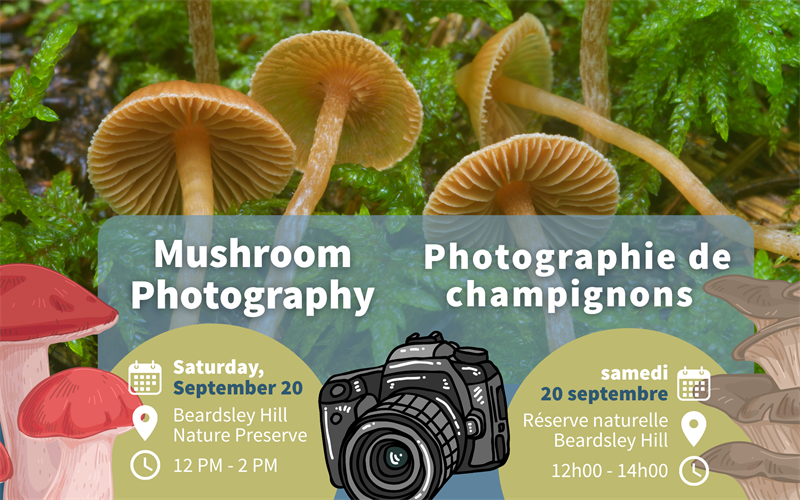 Event_Highlight_-_Mushroom_Photography