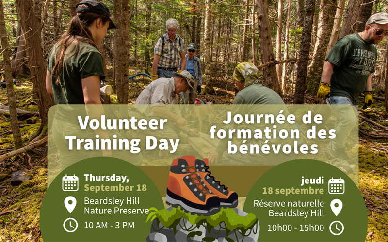 Event_Highlight_-_Volunteer_Training_Day