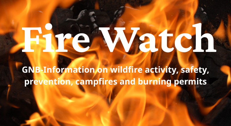Fire_Watch_(1)
