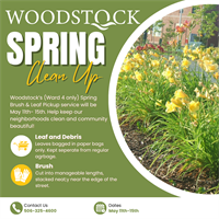 Spring_Clean_Up_Instagram_Post