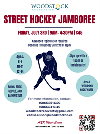 Street_Hockey(2)