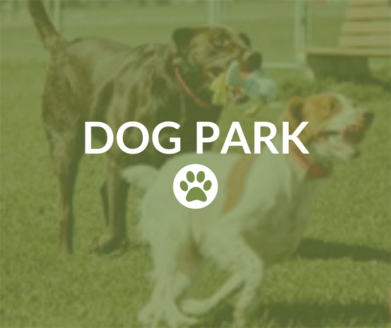 dog_park
