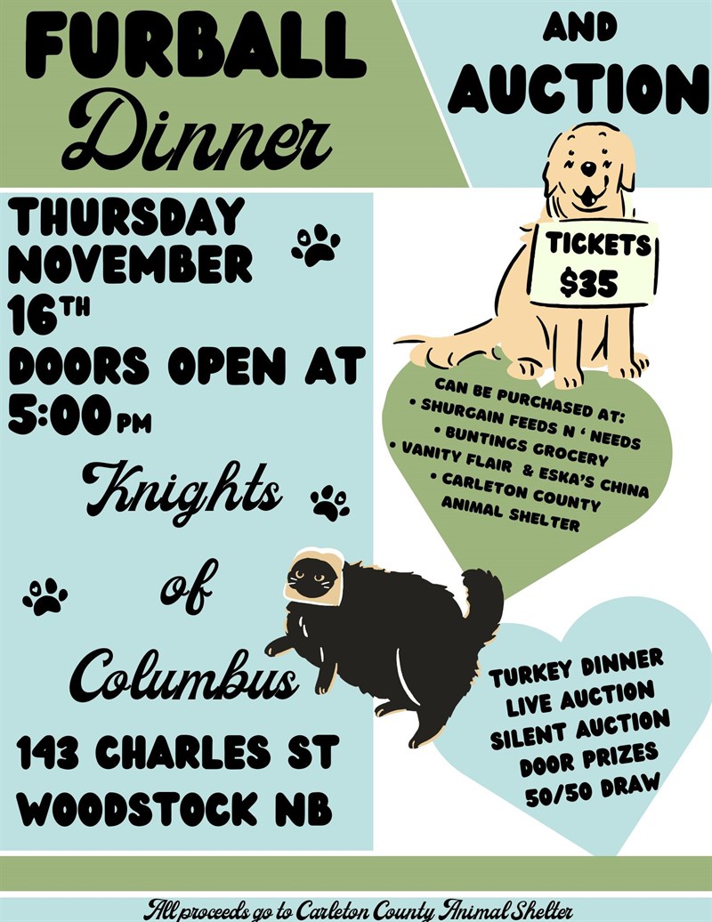 Furball Dinner & Auction