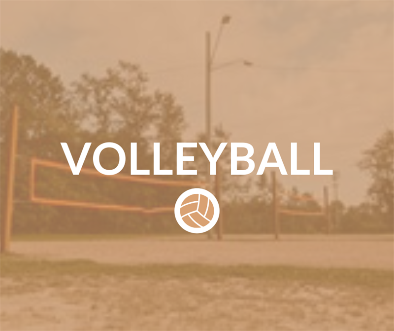 volleyball